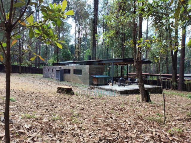 Casa en VENTA en el bosque y 3000m de terreno | Escritura
