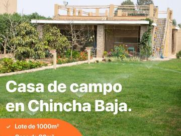 San Clemente, Provincia de Pisco, Ica, Perú