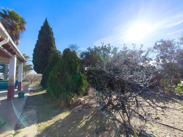Casa en venta en Elche Elx, La Algoda Matola Llano de San José. HA LLEGADO EL MOMENTO DE DECIDIRSE. Casas Elche.