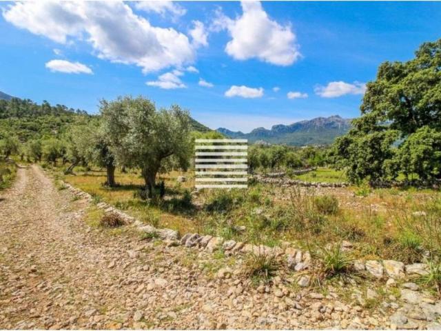 Casa en Venta en Escorca