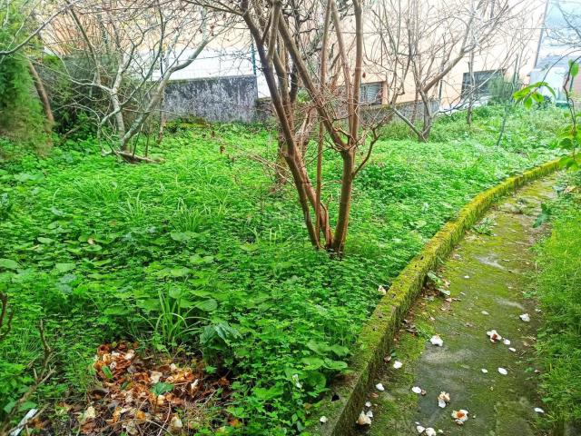 Casa en venta en Ferrol, Canido. Casa con finca edificable en Canido, Ferrol. Casas.