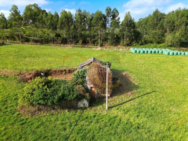 Casa en venta en Franco El. Cabaña para reformar con gran finca en La Caridad. Casas Franco.