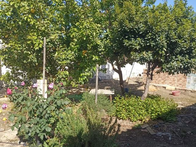 Casa en venta en Guadalcázar. Casa de planta baja con parcela de 884 metros. Casas.