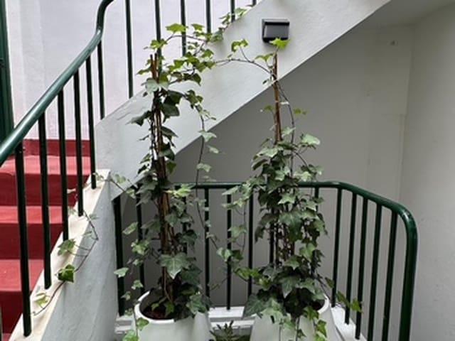 Casa en venta en Guía de Isora, Tenerife