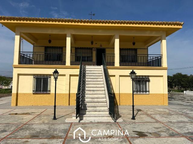 Casa en venta en Gibraleón. Casa campo con terreno en Gibraleón. Casas.