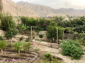 Humay, Provincia de Pisco, Ica, Perú - Espacio para oficina