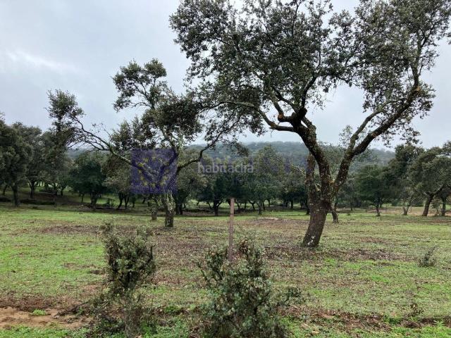 Casa en venta en Herguijuela. SE VENDE FINCA GANADERA. Casas.
