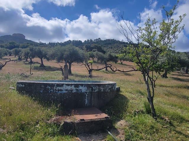 Casa en venta en Herrera del Duque, Badajoz