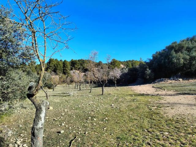 Casa en venta en Horta de Sant Joan Tarragona