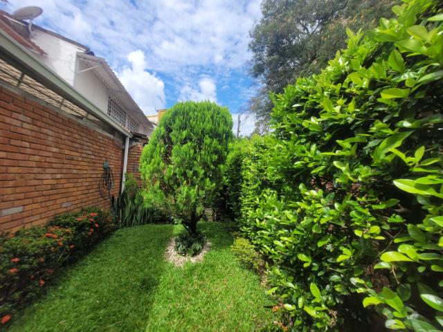Casa En Venta En Ibague En Piedra Pintada V306195