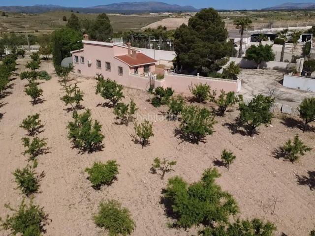 Casa en venta en Jumilla. Finca mediterránea con 21.000 m de terreno, olivos y almendros Torre del Rico, Jumilla. Casas.