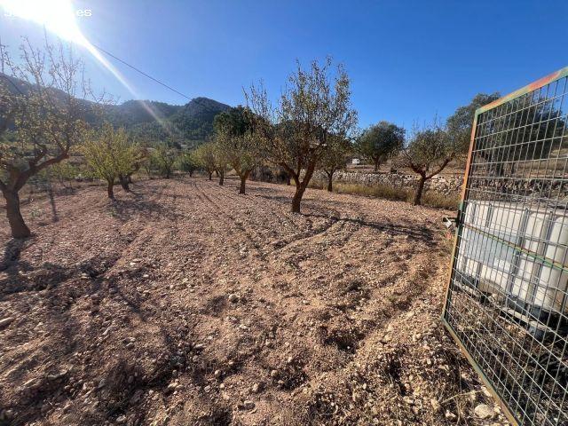 Casa en Venta en Jumilla, Murcia