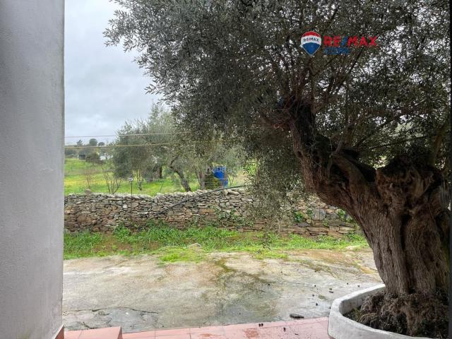 Casa en venta en Jerez de los Caballeros. Chalet Turístico Sostenible Una Oportunidad Única de Inversión. Casas Jerez de los.