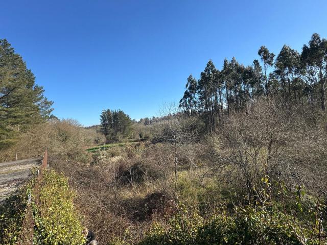 Casa en venta en Lugo, Parroquias del Este. ? CASA CON FINCA RÚSTICA Y ANTIGUAS INSTALACIONES GANADERAS EN OUTEIRO ROMEÁN PROYECTO DE REHABILITACIÓN EN ENTORNO NATURAL. Casas.