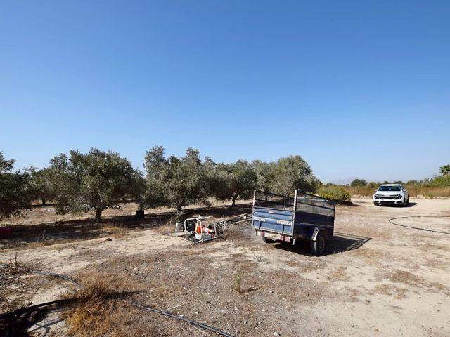 Casa en venta en La Marina, Alicante Costa Blanca