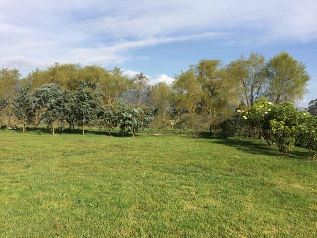 Casa En Venta En La Calera V128915
