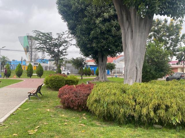 Casa en venta en La Perla a S/772,650