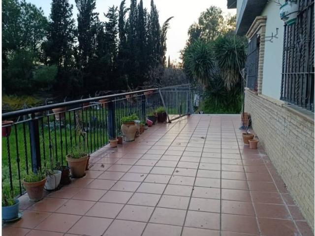 Casa en venta en La urbanización Los amigos, Alcolea