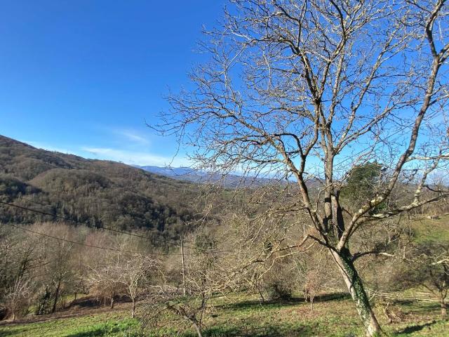 Casa en venta en Langreo, Ciaño Zona Rural. Casa Chalet independiente en venta en LA BORNA LOS PERALES s n, Tuilla. Casas.