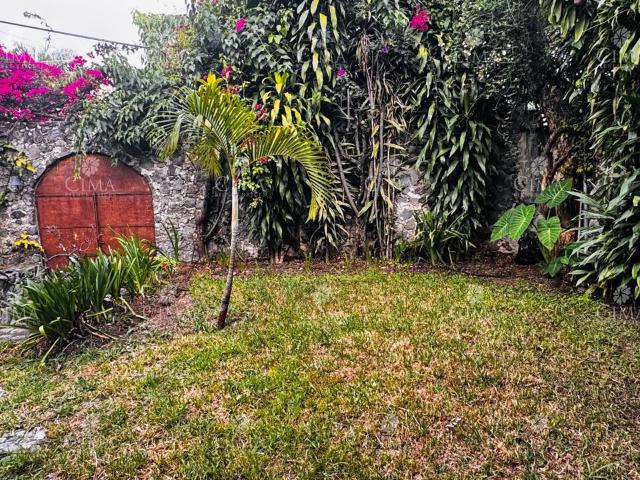 Casa En Venta En Lomas Tetela V409