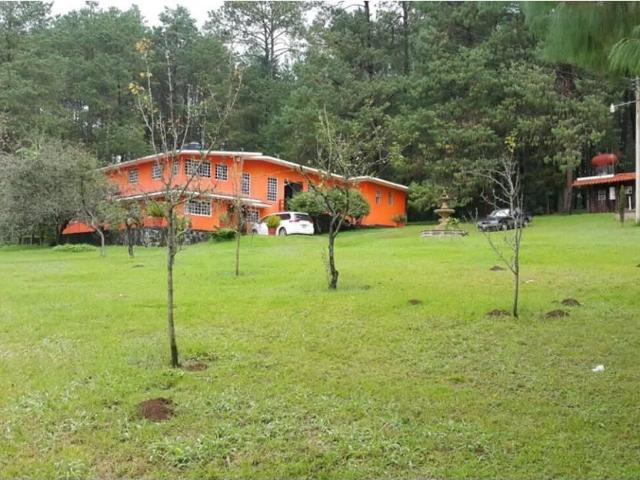 Casa en Venta en Puebla, Zacatl?n, Huerta, arboles frutales, bosque, etc