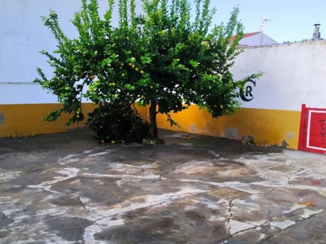 Casa en Venta en Puebla de Sancho Pérez