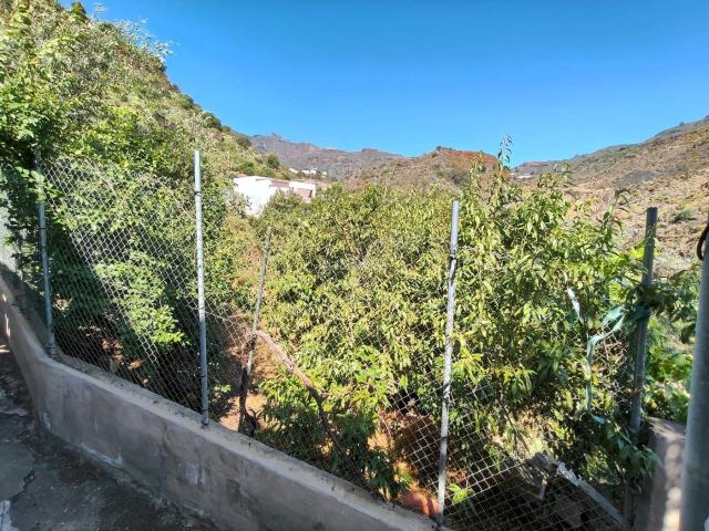 Casa en venta en Valsequillo de Gran Canaria. Estupenda casa de campo con terreno con frutales en El Colmenar Alto, Valsequillo, Las Palmas. Casas Valsequillo de Gran.