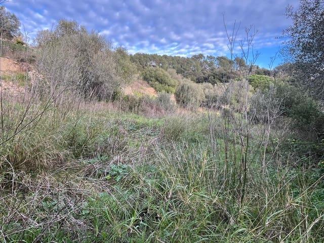 Casa en venta en Puigpunyent, Mallorca