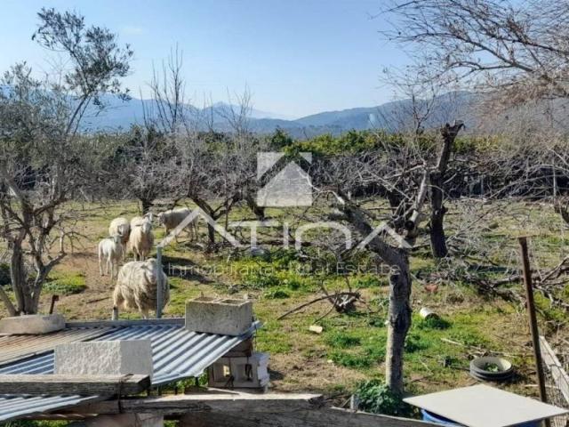 Casa en Venta en Palma de Gandia