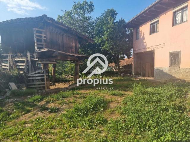 Casa en venta en Parres. CONJUNTO DE CASA, CUADRA, BODEGA Y PARCELA A 3 KM DE CANGAS DE ONÍS. Casas.