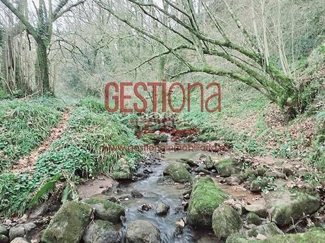 Casa en venta en Penagos. CABAÑA CON ARROYO, PROYECTO Y CAMBIO DE USO EN LLANOS. PENAGOS. Casas.