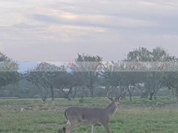 Casa en venta en Pesquería