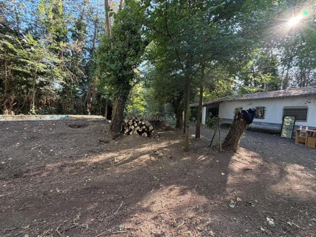 Casa en venta en Pezuela de las Torres. FINCA CON VIVIENDA PARA VENTA. Casas Pezuela de las.