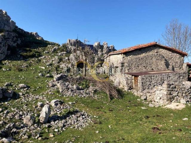 Casa en venta en Peñamellera Alta. Cabaña en la zona más oriental de los Picos de Europa. Casas Peñamellera.