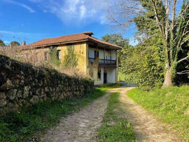 Casa en venta en Piloña. Casa para reformar con más de 7 hectáreas de terreno. Casas.