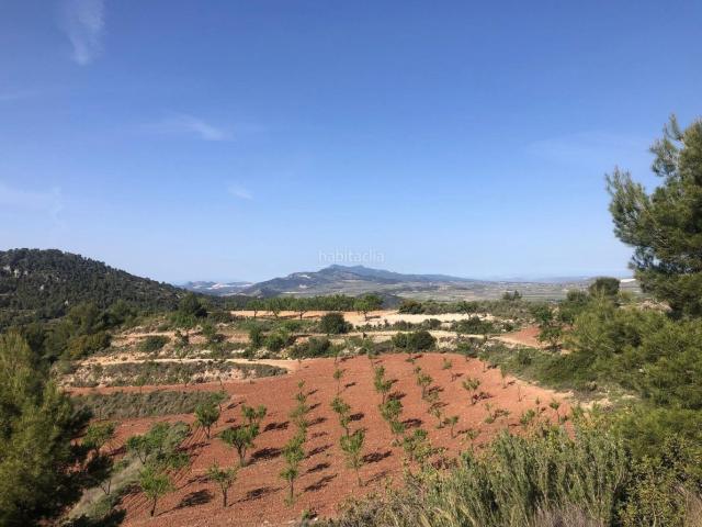 Casa en venta en Pinoso. Casas.