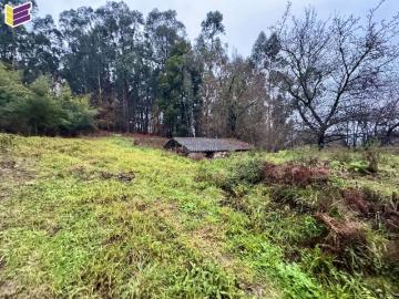 Casa en venta en Porriño O. Gran terreno con casa para rehabilitar !. Casas Porriño.