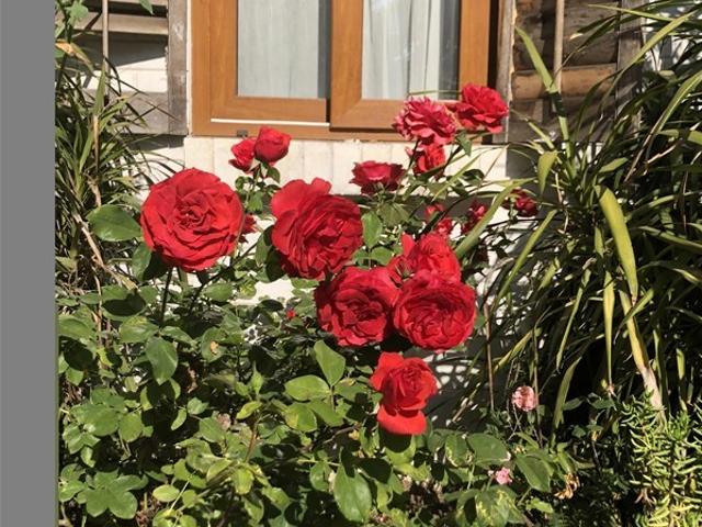 Casa en Venta en Portal La Dehesa