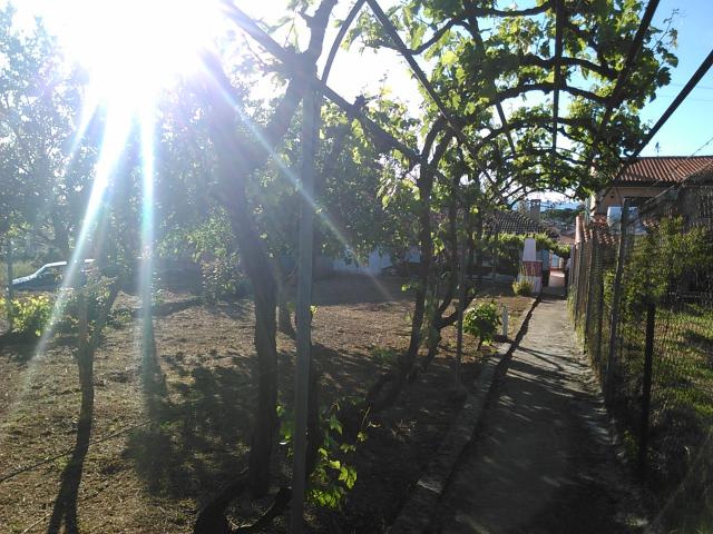 Casa en Venta en Pozuelo de Zarzón, Cáceres