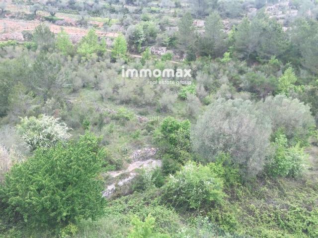 Casa en venta en Pradell de la Teixeta. Pradell de la Teixeta Casa rústica en venta. Casas Pradell de la.