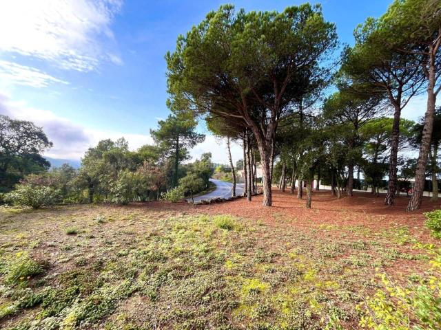 Casa en venta en Quart. FINCA CON VIVENDA Y RESTAURANTE. Casas.