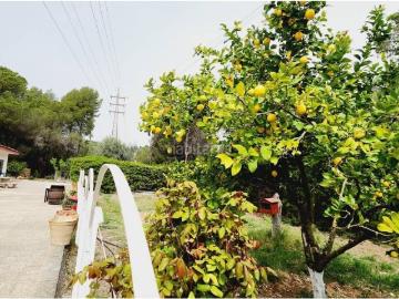 Casa en venta en Rubí, Sant Muç. Casa en venta en Sant MuçCastellnouCan Mir. Casas.