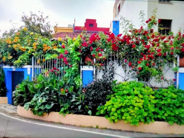 Casa en venta en Realejos Los, Los Realejos pueblo. Casas Realejos.