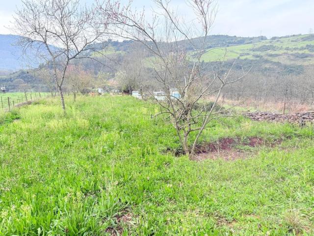 Casa en venta en Regueras Las. Casa de campo con 21.535 m2 de terreno en Las Regueras. Casas Regueras.