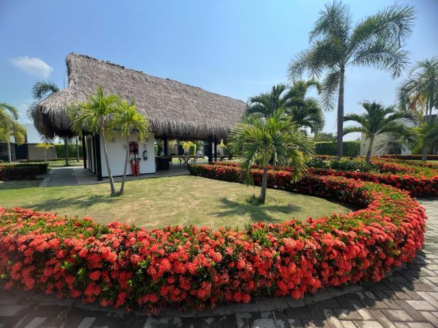 Casa En Venta En Ricaurte En Isla Del Sol V340276