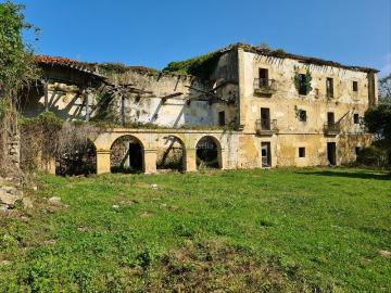 Casa en venta en Ribadedeva. Gran finca Palacio La Prida. Casas.