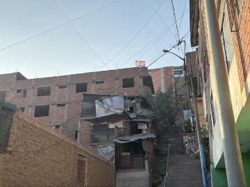 Trébol, Provincia De Lima, San Borja, Provincia de Lima, Lima, Perú