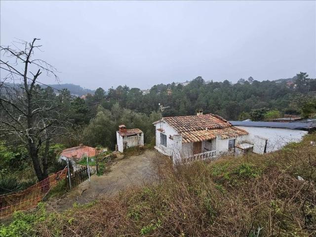 Casa en Venta en Riudarenes