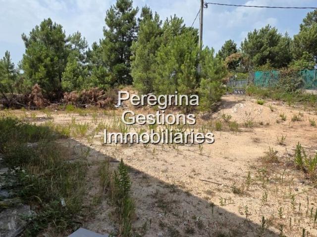 Casa en venta en Riudarenes. *OPORTUNIDAD UNICA* Proyecto de Vivienda Unifamiliar con Grandes Posibilidades en Can Fornaca. Casas.
