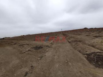 Sunampe, Provincia de Chincha, Ica, Perú